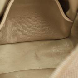 Pre Owned Louis Vuitton Terre Damier Geant Canvas Citadin Messenger Bag