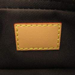 Pre Owned Louis Vuitton Shoulder Bag Monogram Craggy Dog On Strap