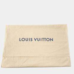 مملوكة مسبقًا Louis Vuitton Bumbag Nv Orange Lv Aerogram Leather