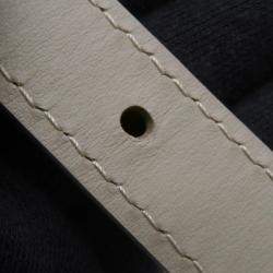 Pre Owned محفظة لوي فيتون فيستلاين قابلة للارتداء جلد العجل حكيم ليفي آيروغرام