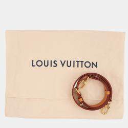 مملوكة مسبقًا Louis Vuitton Steamer Crossbody Brown Monogram Dust