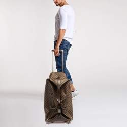 Louis Vuitton Damier Ebene Coated Canvas Eole Rolling Luggage