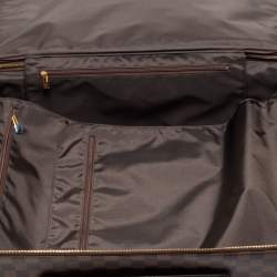 Louis Vuitton Damier Ebene Canvas Pegase 55 Luggage