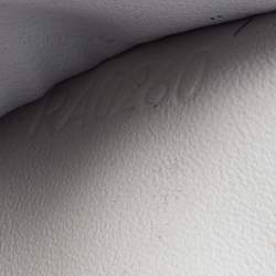 Pre Owned Louis Vuitton Antarctica Damier Infini Leather Pocket Organizer