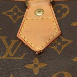 Louis Vuitton Monogram Canvas 2 Hangers Garment Cover Bag