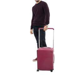 Louis Vuitton Grenade Epi Leather Horizon 55 Suitcase