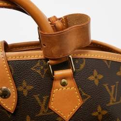 Pre Owned Louis Vuitton Monogram Canvas Garment Cover Bag