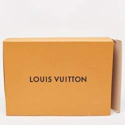Louis Vuitton Silver Monogram Miroir Christopher MM Backpack