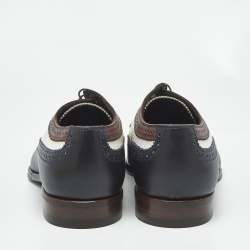 Pre Owned حذاء بروغز لويس فيتون رباط علوي جلد متعدد الألوان مقاس 43.5