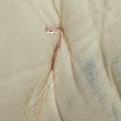 Pre Owned Louis Vuitton Blue/Grey Fabric and Suede Low Top Sneakers Size 41