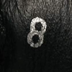 مملوكة مسبقًا Louis Vuitton Infini Size 42 Black Damier Leather Lace Up Sneakers