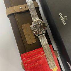 Omega Brown Titanium Seamaster Automatic Men's Wristwatch 42 mm
