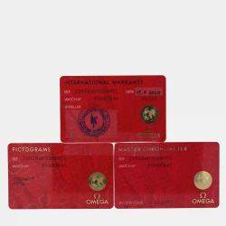 Pre Owned Omega Seamaster Railmaster 220.10.40.20.06.001 Automatic Stainless Steel Men's Wristwatch 40 mm