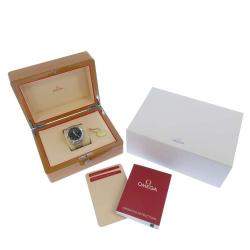 Omega Grey Stainless Steel Seamaster GMT Chrono 231.10.43.52.06.001 Men's Wristwatch 43 mm