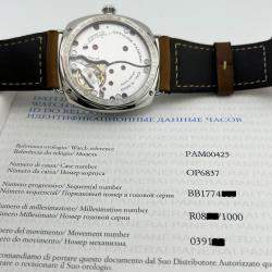 Pre Owned Panerai Radiomir PAM00425 Manual Winding Black Dial Stainless Steel Men's Wristwatch 47 mm