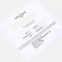 Pre Owned Patek Philippe Complications 5905/1A-001 Automatic Green Stainless Steel Men's Wristwatch 42 mm