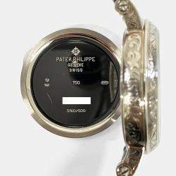 Pre Owned Patek Philippe Perpetual Calendar 5160/500G-001 Automatic White 18k White Gold Men's Wristwatch 42 mm