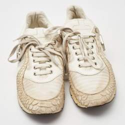 Philipp Plein Cream Python Embossed and Leather Lace Up Sneakers Size 45