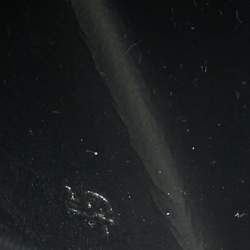 Pre Owned Prada Black Rubber Flat Pool Slide Size 45