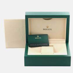 Rolex Sky-Dweller Steel White Gold Mint Green Dial Men's Watch 42.0 mm