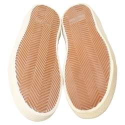 Pre Owned Saint Laurent Red/Black Leopard Print Canvas Skate Low Top Sneakers Size 41