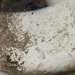 Pre Owned أزرار أكمام تيفاني & كو. فضة إسترليني دمعة