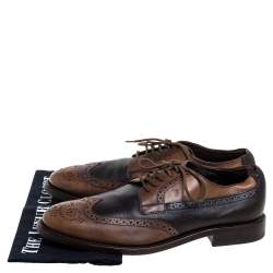 Tod's Brown Brogue Leather Lace Up Derby Size 41