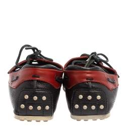 Pre Owned Tod's For Ferrari Navy Blue/Red Leather Lace Loafers Size 41