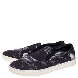 Dolce & Gabbana Blue/White Owl Print Canvas Slip On Sneakers Size 44