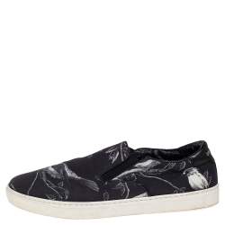 Dolce & Gabbana Blue/White Owl Print Canvas Slip On Sneakers Size 44