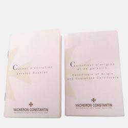 Vacheron Constantin Silver Stainless Steel Overseas 47450/B01A-9226 Automatic Men's Wristwatch 42 mm
