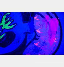 Minerva Euro Eyes Over Blue By Carlos Pun, Peru,2022 (70 X 70)