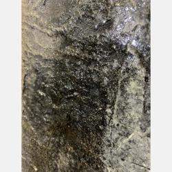 etude 18405 By Carole Kohler, Switzerland,2018 (50 X 40)