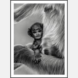 Innocence By Composing The Wild, India, 2016 (130 X 98)