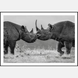 Better Together By Composing The Wild, India, 2023 (75 X 104)