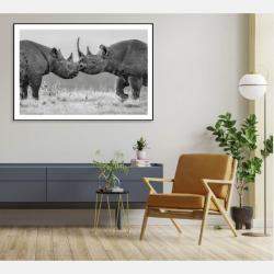 Better Together By Composing The Wild, India, 2023 (75 X 104)