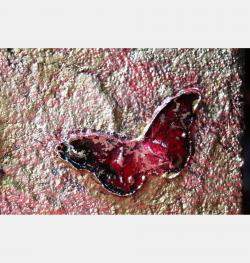 Gold Butterfly By Donatella Marraoni, Italy,2023 (30 X 30)