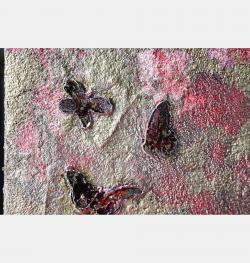 Gold Butterfly By Donatella Marraoni, Italy,2023 (30 X 30)