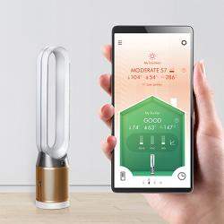 Dyson Pure Cool Cryptomic™ Purifier,Gunmetal/Bronze (Available for UAE Customers Only)