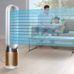 Dyson Pure Cool Cryptomic™ Purifier,Gunmetal/Bronze (Available for UAE Customers Only)