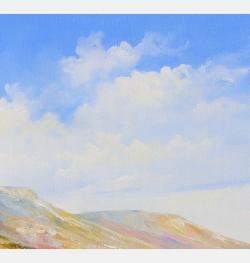 Oliviers Bleus Dans Les Alpilles By Eric Bruni, France,2022 (50 X 61)