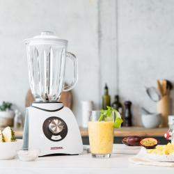 Gastroback Vital Mixer Basic (Available for UAE Customers Only)