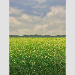 Spring Day 3 By Ivan Didovodiuk, Ukraine,2023 (95 X 100)