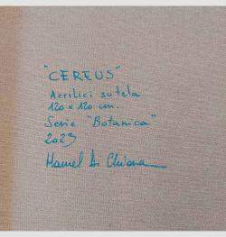 Cereus By Manuel Di Chiara, Italy,2023 (120 X 120)