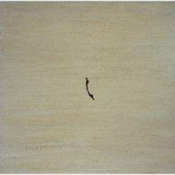 Alone. By Marcos Zrihen, Spain,2022 (80 X 80)