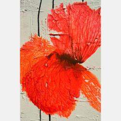 Elegance Naturelle By Sophie Duplain, France,2022 (100 X 20)