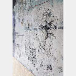 Wall By Tadaomi Kawasaki, Japan,2023 (121.92 X 121.92)