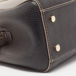 Pre Owned Aigner Beige/Black Ombre Leather Ivy Tote