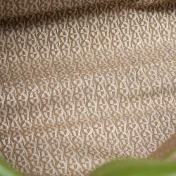 Pre Owned Aigner Apple Green Leather Medium Cybill Tote