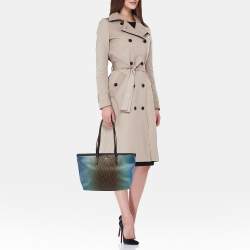 Pre Owned Aigner Dark Brown/Blue Signature Coated Canvas and Leather Tote